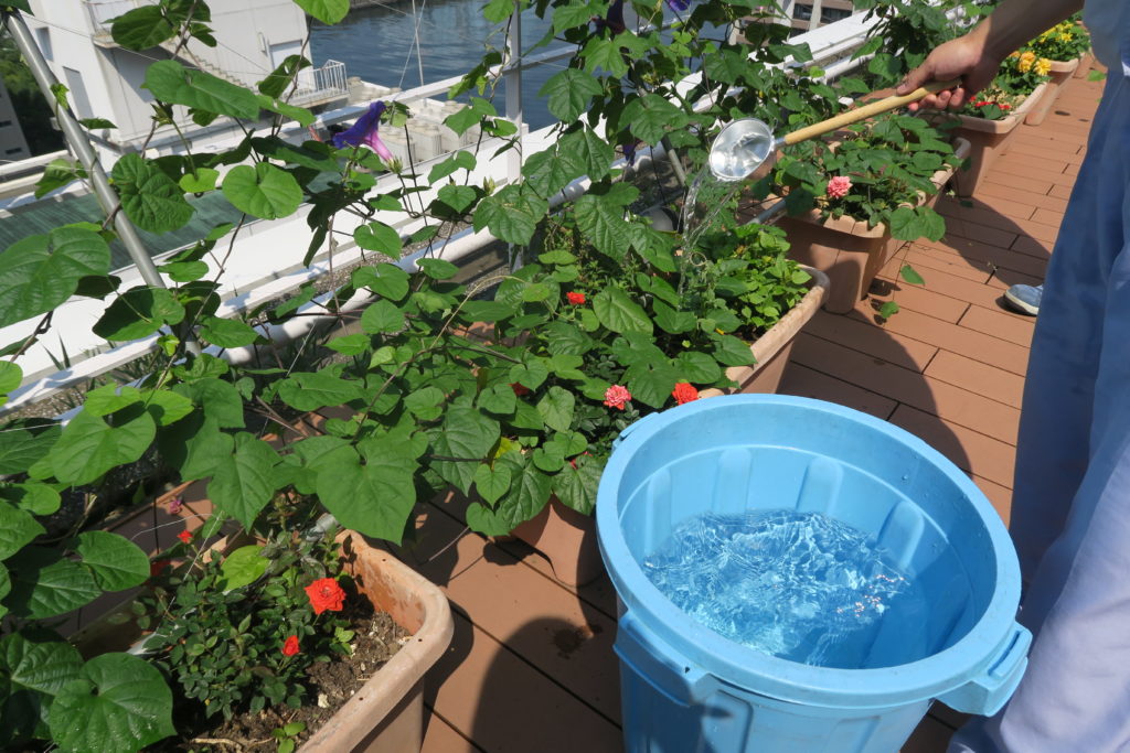 季節を感じるお仕事